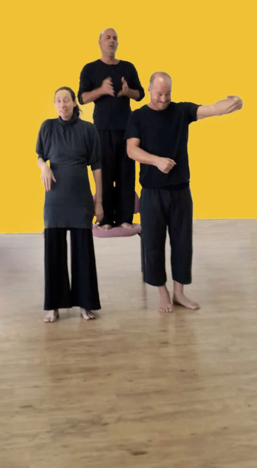 פלייבק הקוקיה